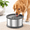 6.5L+2 Filters, variant on 12l Dog Water Bowl No S3.1 Gallon Super Large Capacity Stainless Steel Splash 405oz Slow Drinking Feeder With Non-slip Base Pet Di