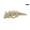 1, variant on 1PC movable skull dragon key chain 3D printing
