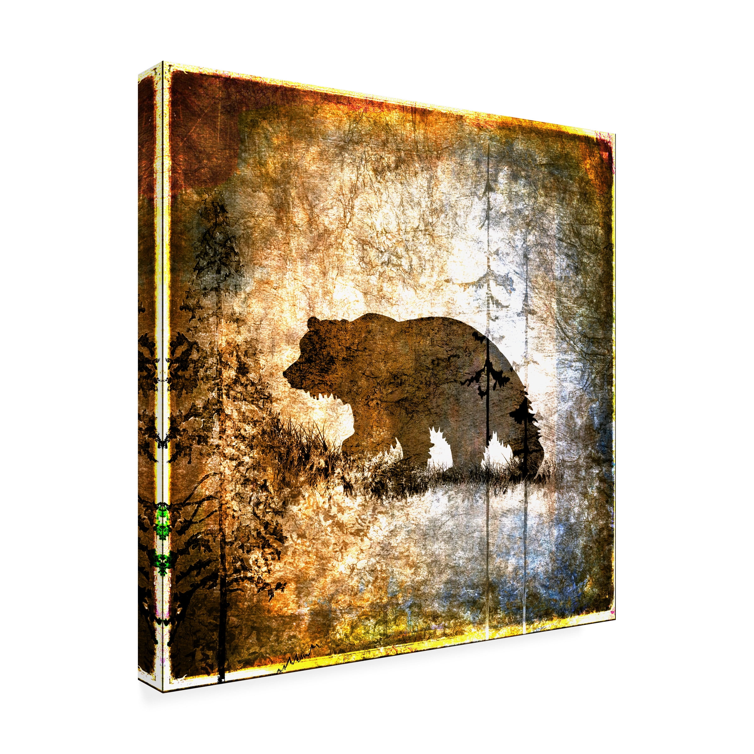 LightBoxJournal 'High Country Bear' Canvas Art