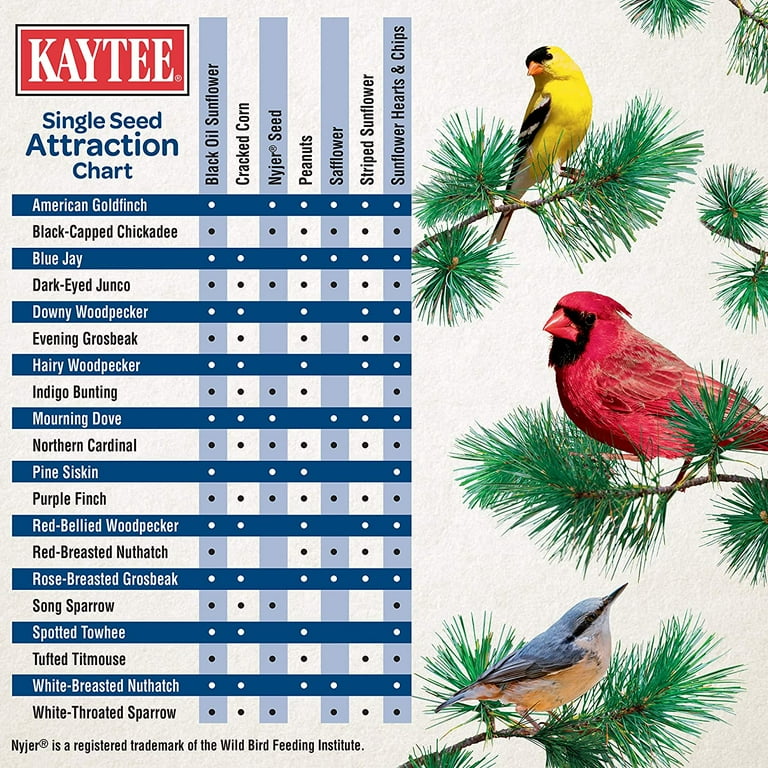 Kaytee Wild Bird Food Nut Fruit Blend