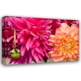thumbnail image 1 of Maureen Love 44x31 Gallery Wrapped Canvas Wall Art Titled - Fuschia Dalhia III, 1 of 4