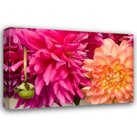 Maureen Love 44x31 Gallery Wrapped Canvas Wall Art Titled - Fuschia Dalhia III