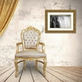 thumbnail image 3 of Mark Spowart Photography  18x13 Gold Ornate Wood Framed with Double Matting Museum Art Print Titled - Falling Waters, 3 of 4