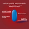 thumbnail image 2 of Novex Biotech Testrovax - Best Testosterone Booster for Men - Vitamins for Men - Test Booster - Increase Testosterone levels in 12 days* - 60 Count, 2 of 7