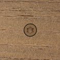 thumbnail image 2 of Fascia Screw Starborn Industries Headcote Headcote de acero inoxidable, 2 of 3