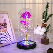 Christmas Rose Gifts for Women, Beauty and the Beast Galaxy Enchanted Rose Music Box Forever Flower Gifts for Mom Wife Girlfriend Grandma, Personalized Anniversary Presents LED Rose in Glass Dome