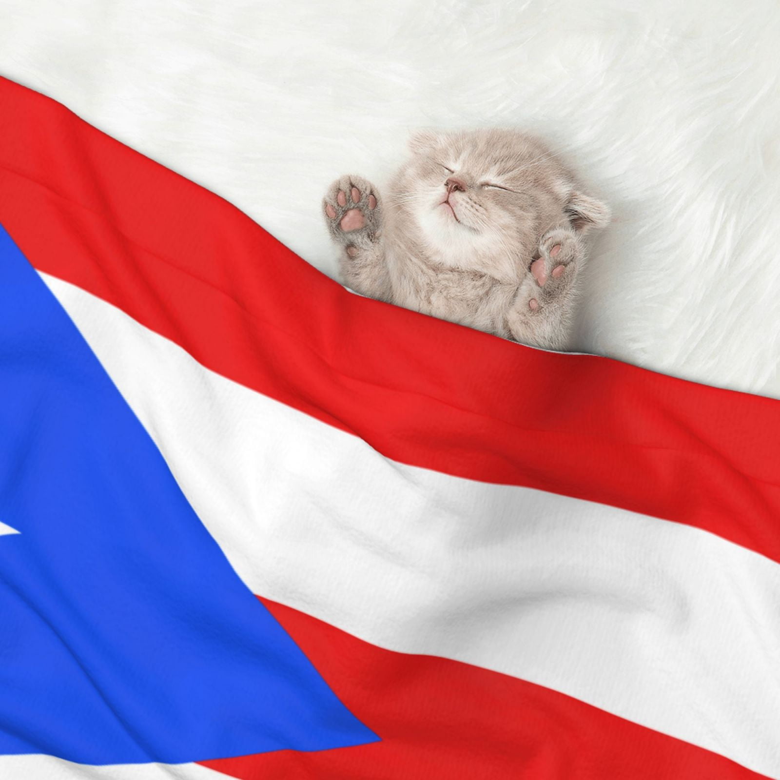 Flannel Throw Dog Blanket Puertorico-Flag Soft Warm Print Pet Blankets for Small Dog Cat Puppy