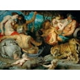 thumbnail image 4 of Peter Paul Rubens 14x12 Black Modern Wood Framed Wall Art Titled - The Four Rivers of Paradise, 4 of 6