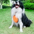 thumbnail image 6 of Ezprogear 64 oz Food Grade Stainless Steel Double Wall Dog Bowl Non-Slip Bottom for Dog, Cat, Pets with Collapsible Travel Dog Bowl (Black), 6 of 9