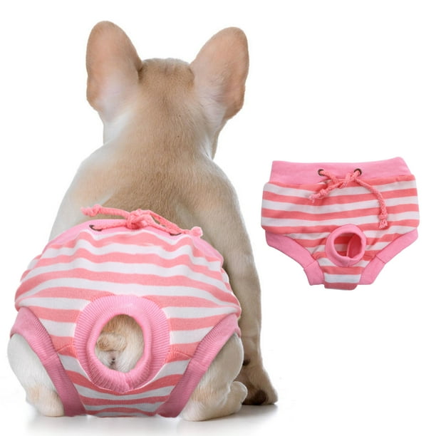 Why Do Female Dogs Eat Underwear