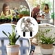 thumbnail image 4 of Decorative Sticks, Accessories for Fairy Garden Outdoor, 4 of 4