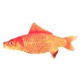 thumbnail image 1 of Jouet pour Chat de 11,81 Po Poisson Réaliste Résistant aux Morsures Jouet à Mâcher pour Chat Jouet pour Animal avec Herbe à Chat, 1 of 10