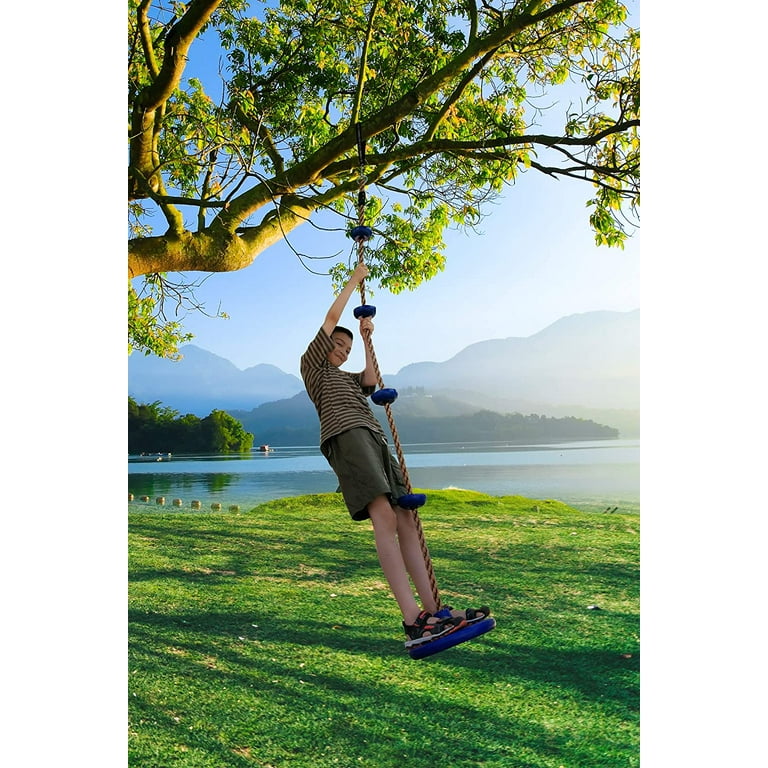 Climbing Rope Tree Swing with Platforms and Disc Swings Seat - Playground  Swingset Accessories Outdoor for Kids - Trees House Tire Saucer Swing