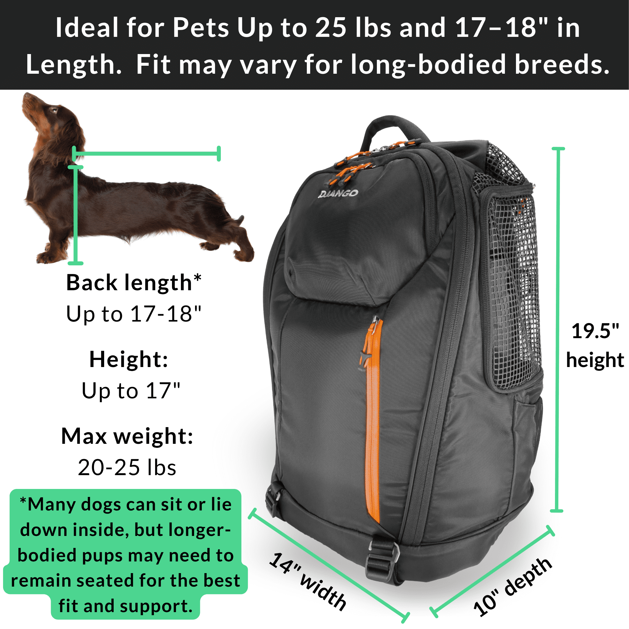 DJANGO Dog Carrier Backpack – Travel Pet Backpack for Small Dogs & Cats with Hip Belt, Storage Pockets, Laptop Sleeve & Water Bottle Holder – Secure, Comfortable Pet Carrier for Hiking & Commuting