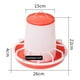 thumbnail image 4 of Comedero para Pollos Colco Automático de Alimentos, 4 of 8
