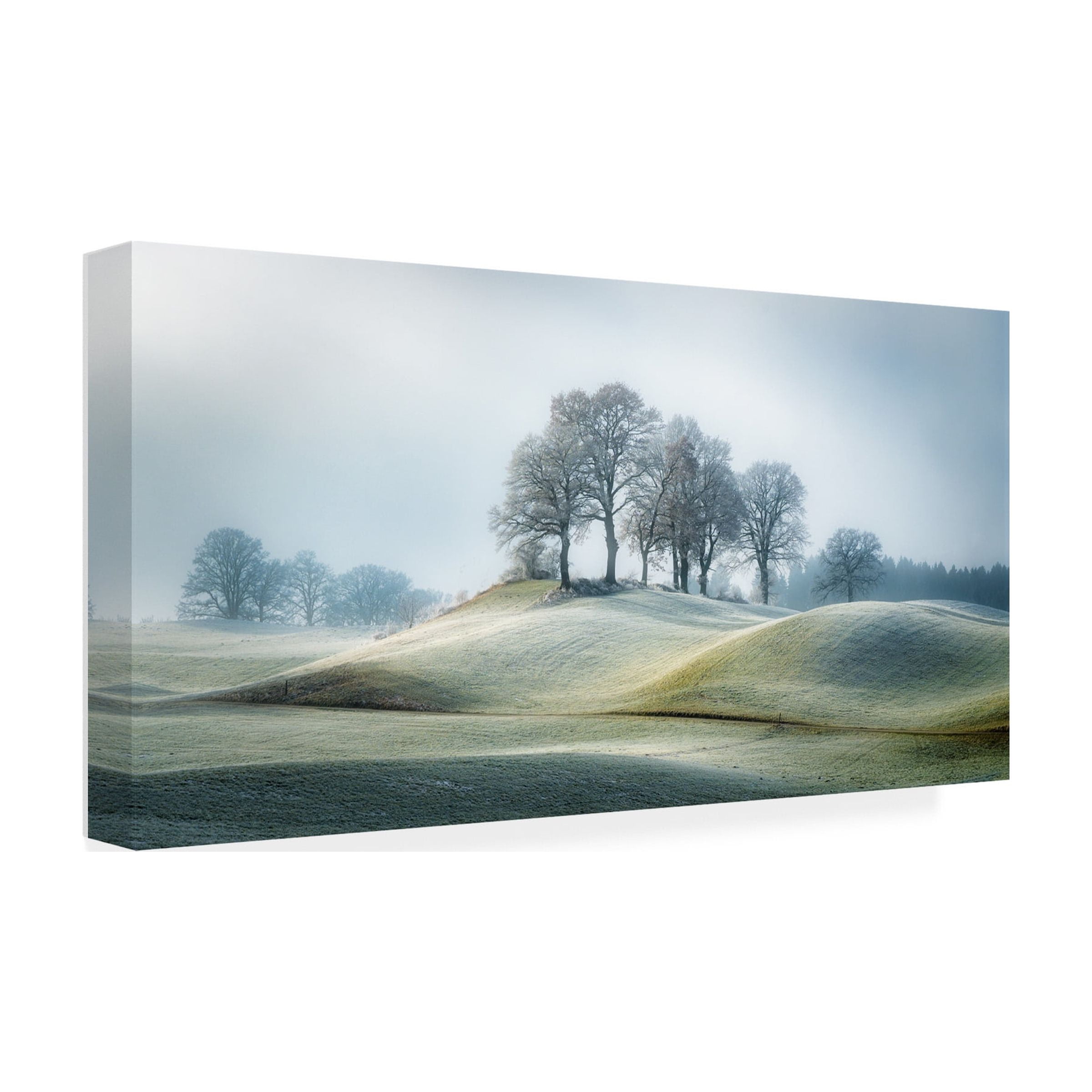 Ulrike Eisenmann 'It Is Not In Tuscany' Canvas Art