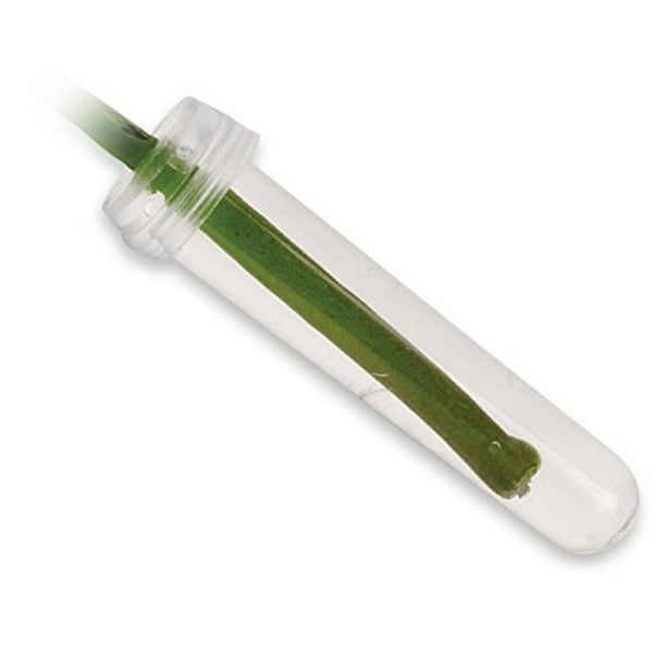 Floral Water Tubes/Vials For Flower Arrangements by Royal Imports