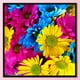 thumbnail image 3 of Cuadros Decorativos Kits completos de bordado Flores Punto de cruz 11CT Estampado DIY Lienzo Artesanía Regalos DQrwqpou Nuevos Originales, 3 of 9