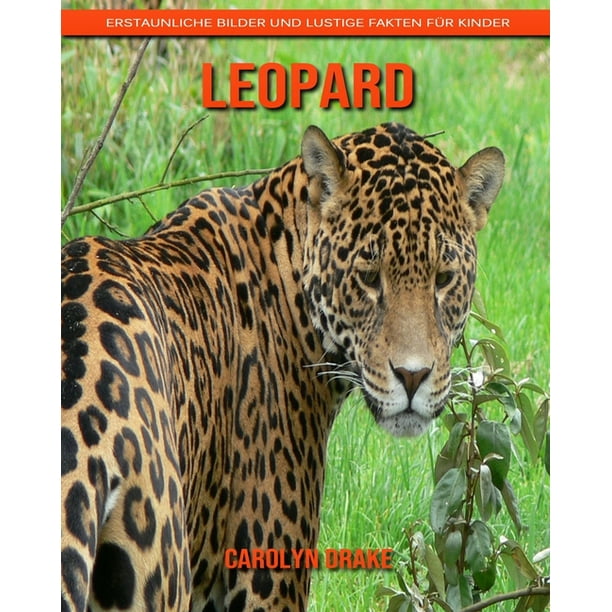 Leopard Erstaunliche Bilder Und Lustige Fakten Fi R Kinder Walmart Com Walmart Com
