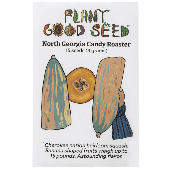 Plant Good Seed North Georgia Candy Roaster Squash Seeds for Planting
