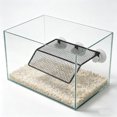 thumbnail image 4 of Moluckfu Plataforma Para Reptiles Con Ventosas Fuerte Y Resistente Ideal Para Peceras Y Acuarios, 4 of 7