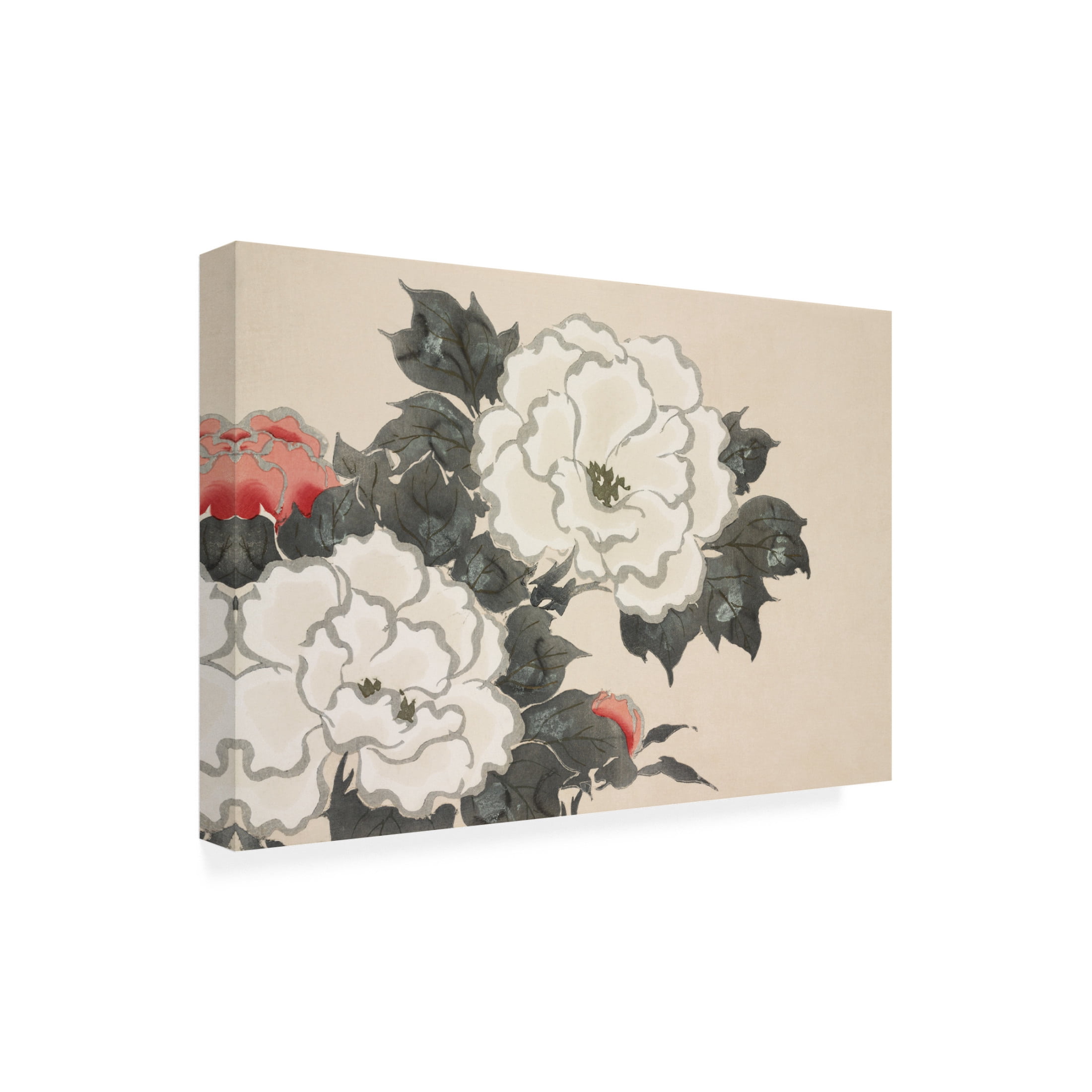 Trademark Fine Art Pictufy  Flowers From Momoyogusa Canvas Wall Art