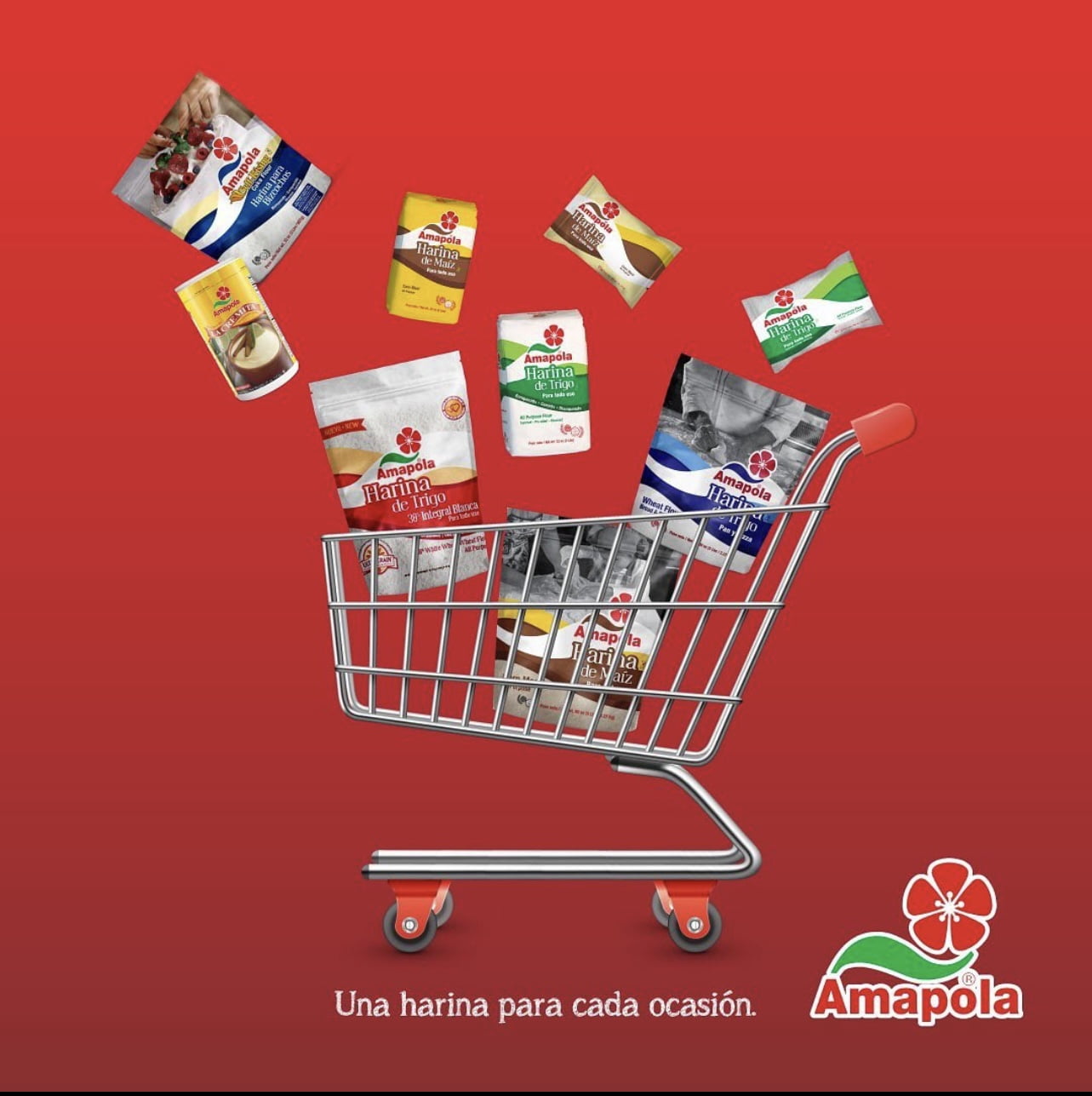 Amapola Harina Amapola Trigo All Purpose Flour 25lb Bag