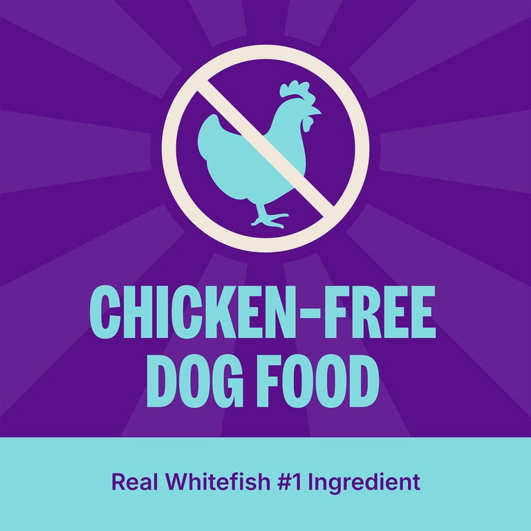 Digestive Health Adult Dry Dog Food photo 6