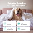 thumbnail image 4 of Zesty Paws Advanced Calming Bites for Dogs, Calming Behavior, Turkey Flavor, 60 Count Soft Chews, 4 of 12