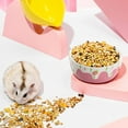 thumbnail image 4 of 2pcs Hamster Food Bowl,Small Animals Ceramic Food Water Bowl for Guinea Pig Rabbit Gerbil Chinchilla, 4 of 5