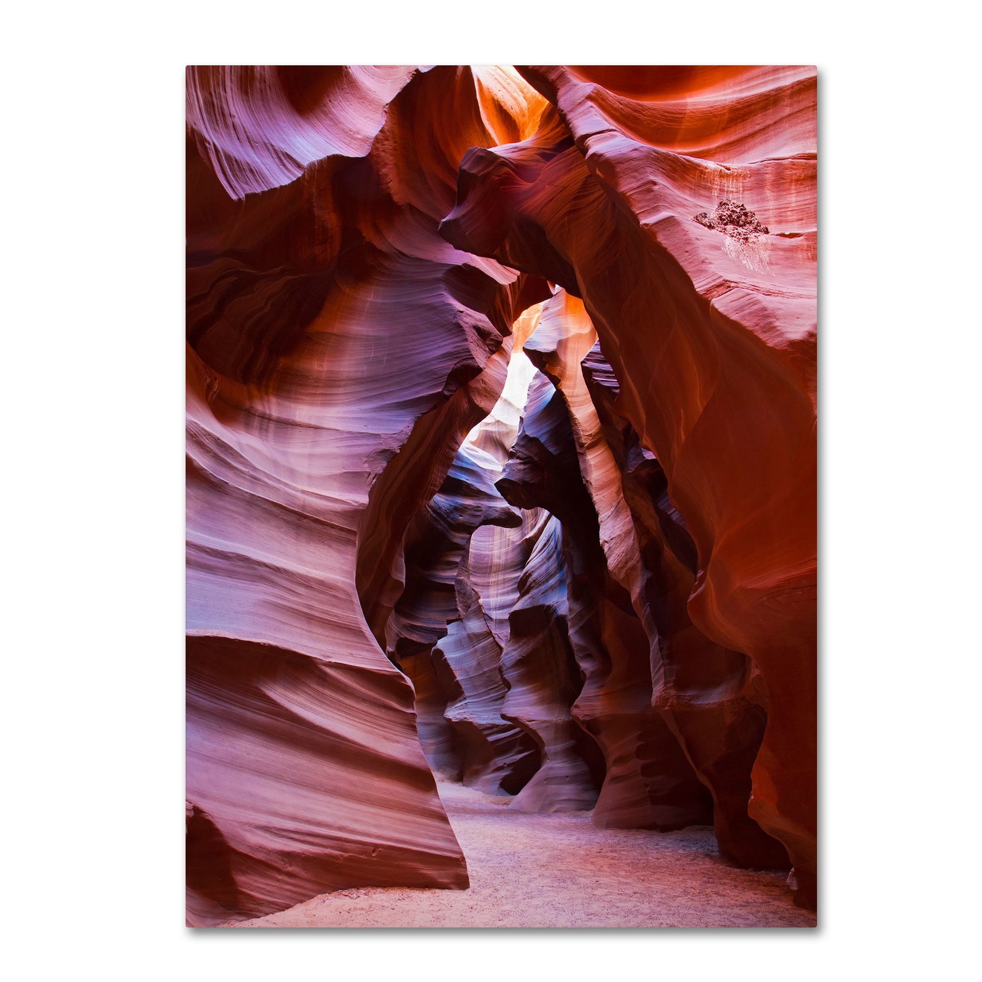 Trademark Fine Art 'Antelope' 14" x 19" Canvas Art (PL0006-C1419GG)