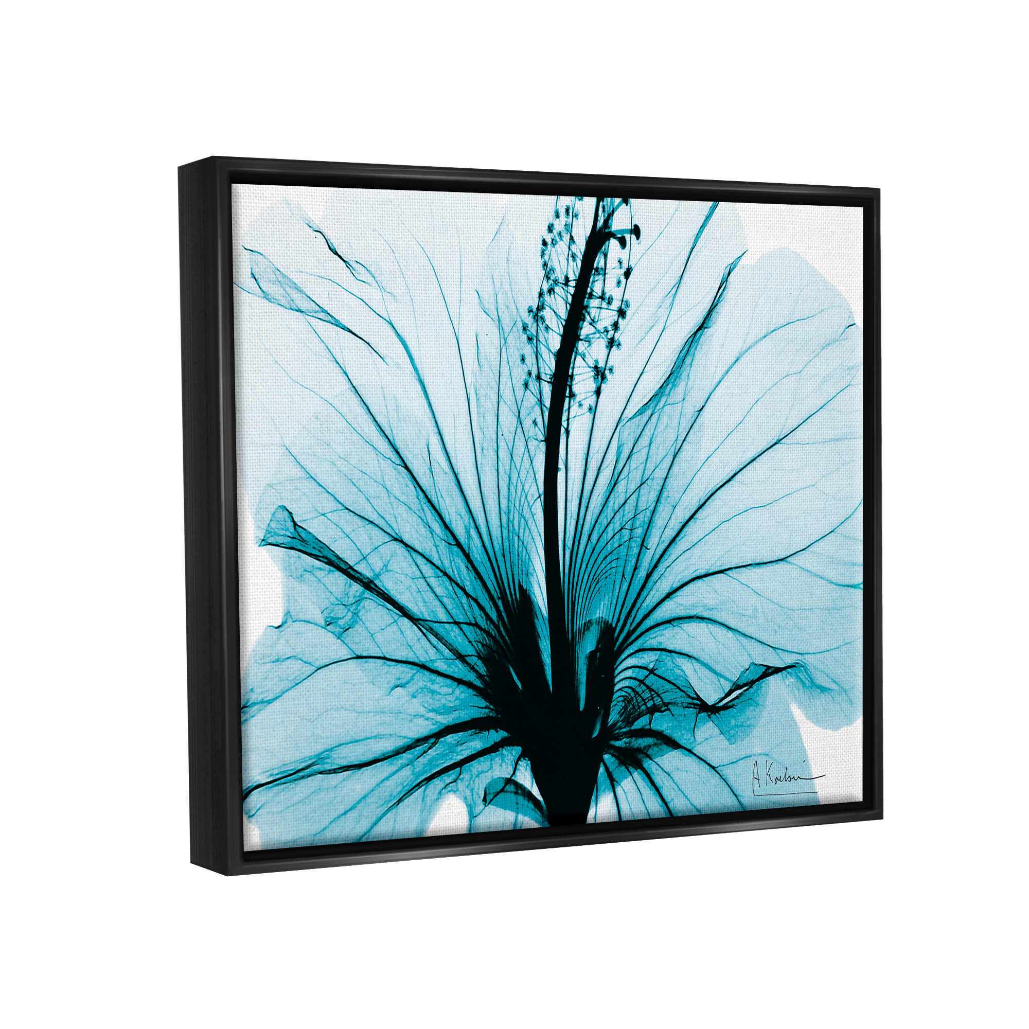 Stupell Industries Blue Flower X-Ray Botanical & Floral Photography Black Floater Framed Art Print Wall Art, 21 x 17