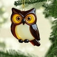 thumbnail image 5 of 2D Flat Bird Christmas Ornament - Acrylic Winter Bird Pendant, Print Break-Proof Tree Tags Cute Stocking Stuffer for Bird Lovers, 5 of 7