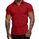 thumbnail image 1 of Camisas s Para Hombre Manga Corta Camisas casuales de manga corta para hombre Camisa de playa de verano con botones (Red, L), 1 of 5