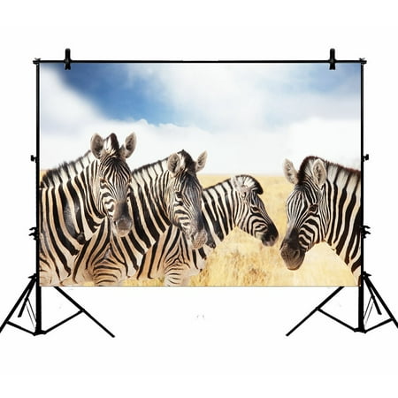 Funny Backgrounds PHFZK 7x5ft Beautiful Sky Cloud Backdrops, Funny Animal Safari Zebras Herd Photography Backdrops Polyester Photo Background Studio Props ()