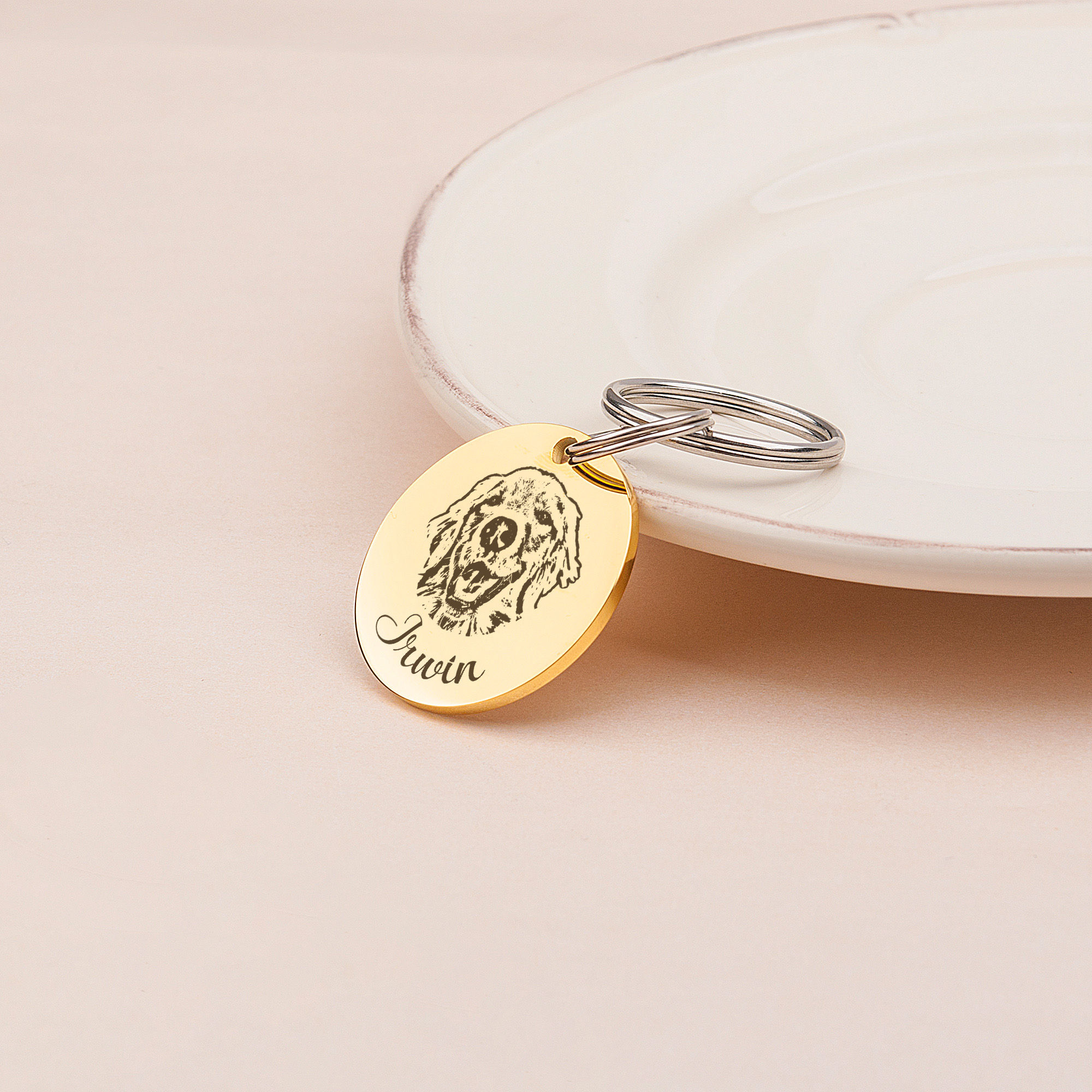 Anavia Stainless Steel Double Sided Round Name - Pet Portrait Photo Engraved Dog & Cat ID Tag, Gold, M