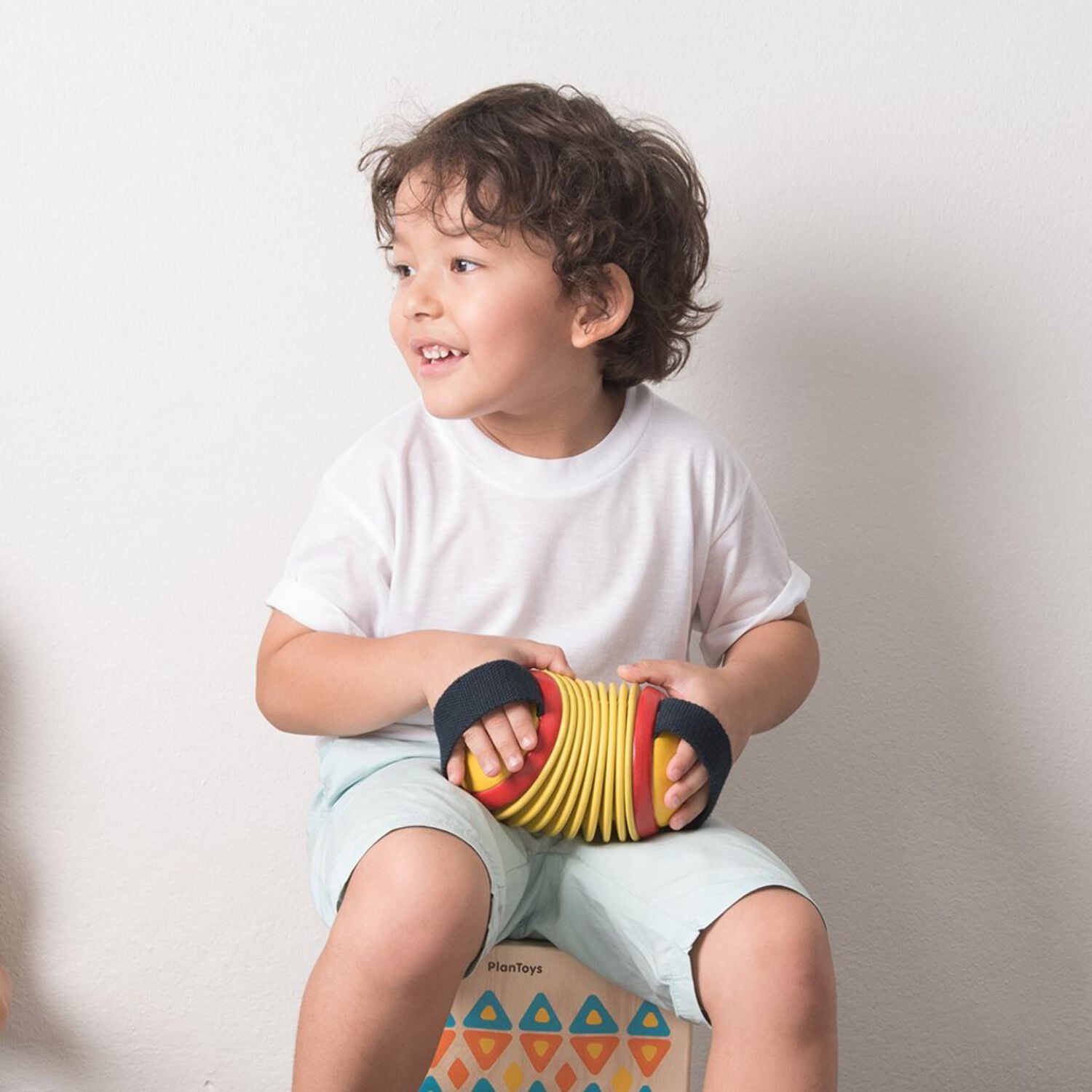 PlanToys Concertina