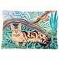 thumbnail image 2 of Carolines Treasures 7139PW1216 Cat - Maine Coon Canvas Fabric Decorative Pillow, 12H x16W, multicolor, 2 of 2
