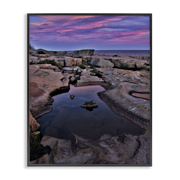Stupell Industries Tropical Tide Pool Landscape Black Framed Giclee Art, 11 x 14, by Joseph Elliott