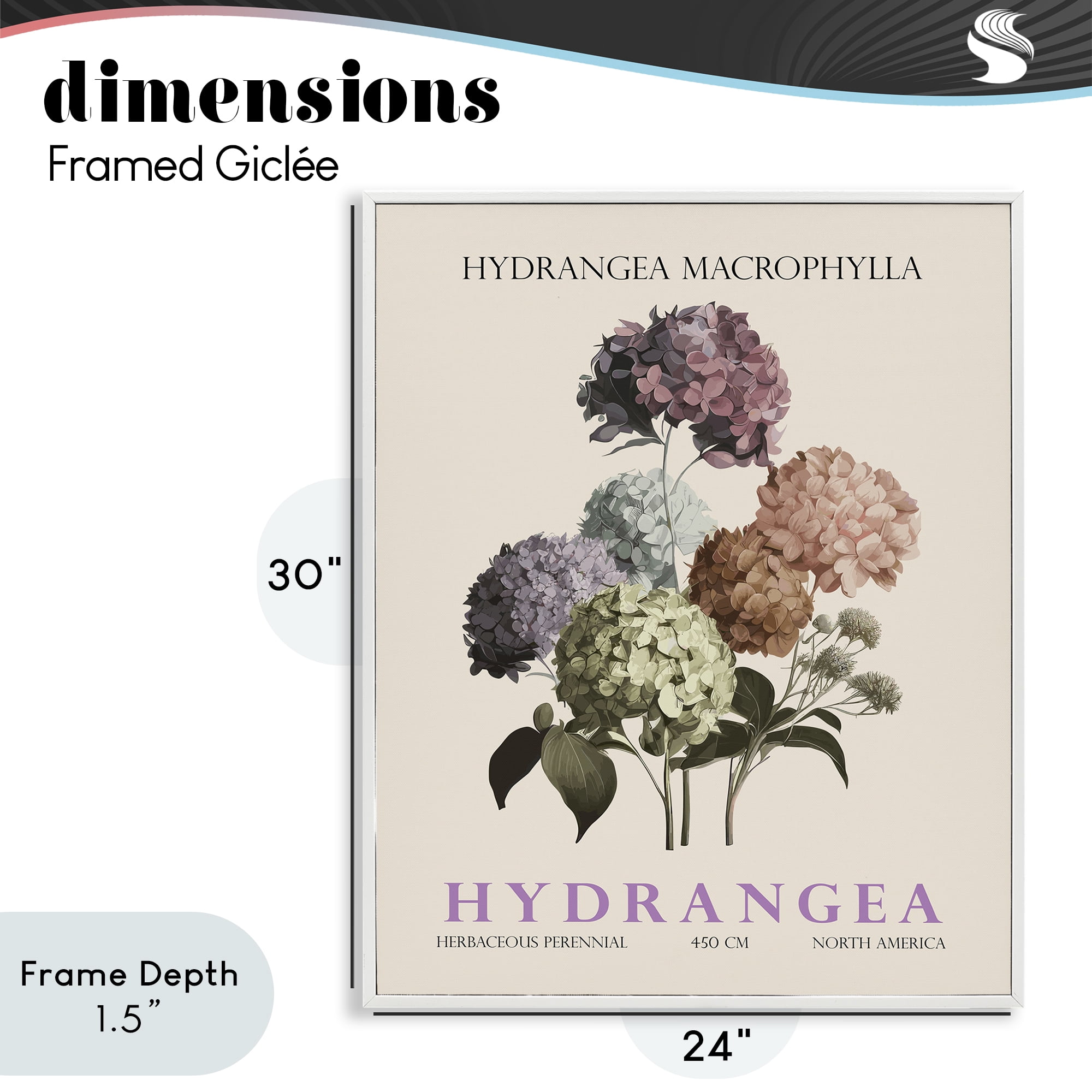 Stupell Industries Nature Hydrangea Bundle White Framed Giclee Art, design by Christopher Giampietro
