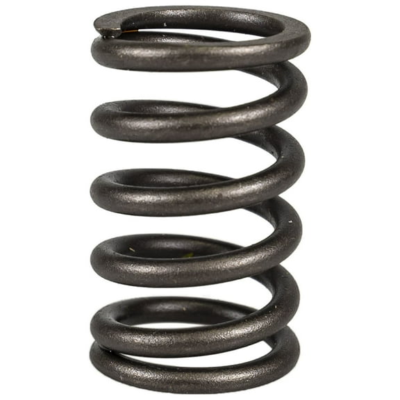 Niche Cylinder Valve Spring for Can-Am Commander Renegade 420239295 ATV 519-CVS2229P