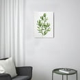 thumbnail image 3 of 12x16 Plant Wall ArtBotanical Eucalyptus Prints for Nature-Inspired Decor, 3 of 7