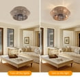thumbnail image 5 of TFCFL 18'' Boho Ceiling Fan Light Rattan Caged Flush Mount Fan Chandelier Lamp 6 Speeds with Remote Control, 5 of 24