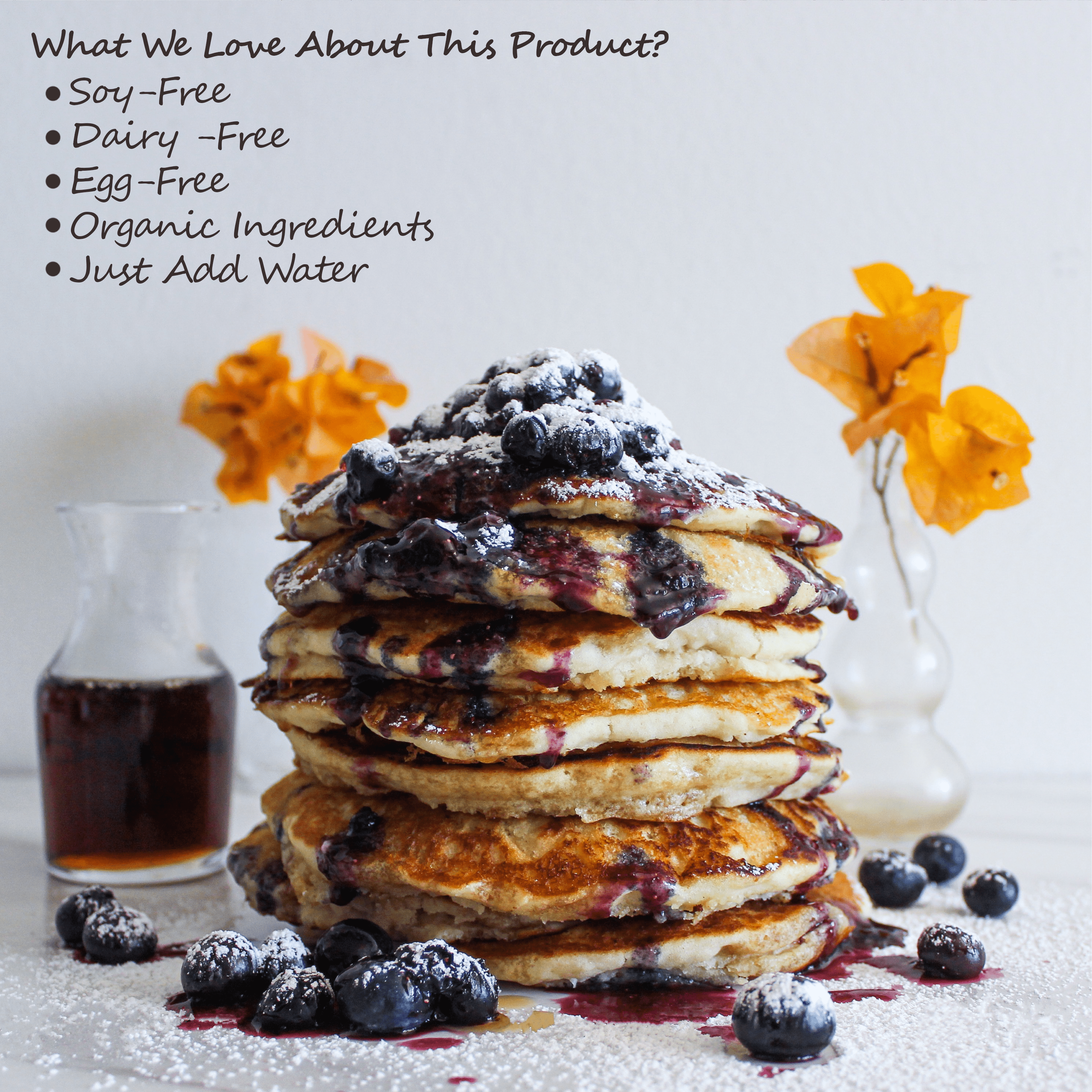 It's Really Vegan Pancake & Waffle Family Size Mix | Dairy Free, Egg Free, and Soy Free Mix Pancake Waffle | Serving Size 1/3 Cup Mix (43g) (Original)