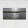 thumbnail image 3 of Luxe Metal Art 'Lavender Fields' by Lori Deiter, Metal Wall Art, 48"x24", 3 of 9