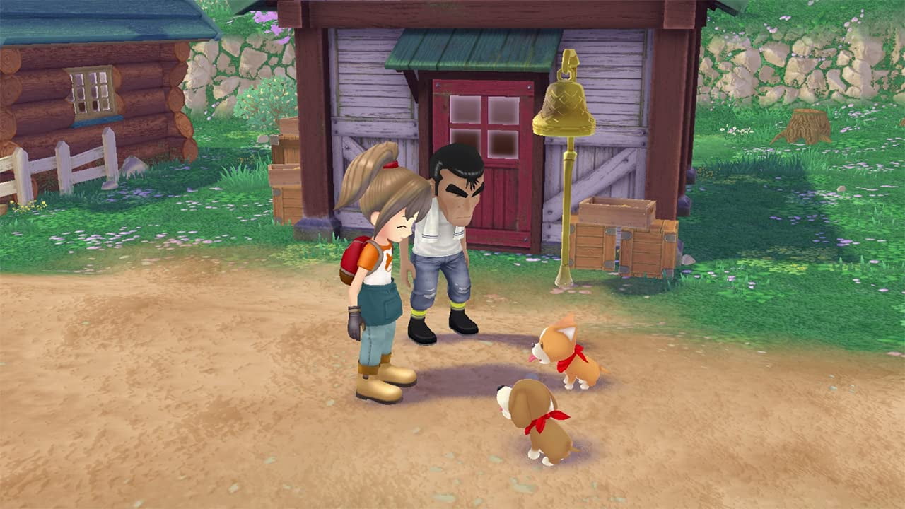 Story of Seasons: A Wonderful Life - Nintendo Switch - Walmart.com