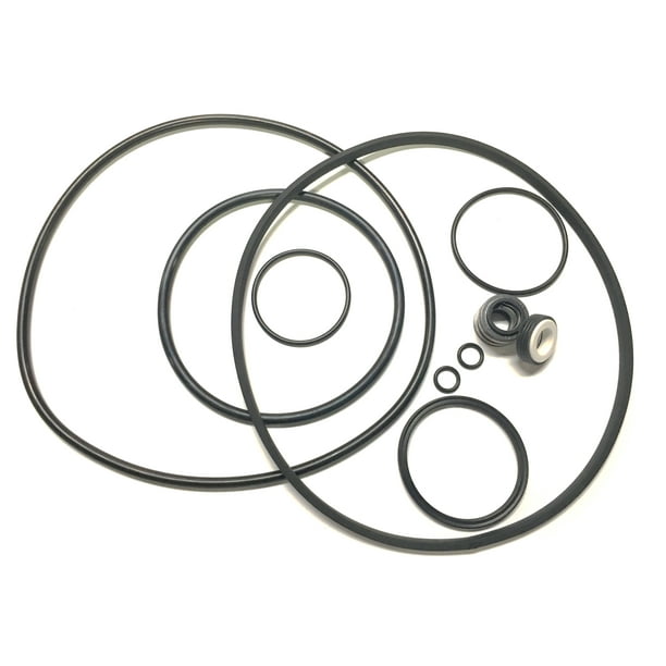 Compatible with Pentair Challenger /Waterfall Pool Pump Rebuild Kit ALL