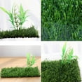 thumbnail image 3 of CRAPELLES Small Glass Frog Black Terrarium Kit, 7.8x7.8x5.9'' for Tadpole, Amphibians, Insects Enclosure (excluding Animals), 3 of 7