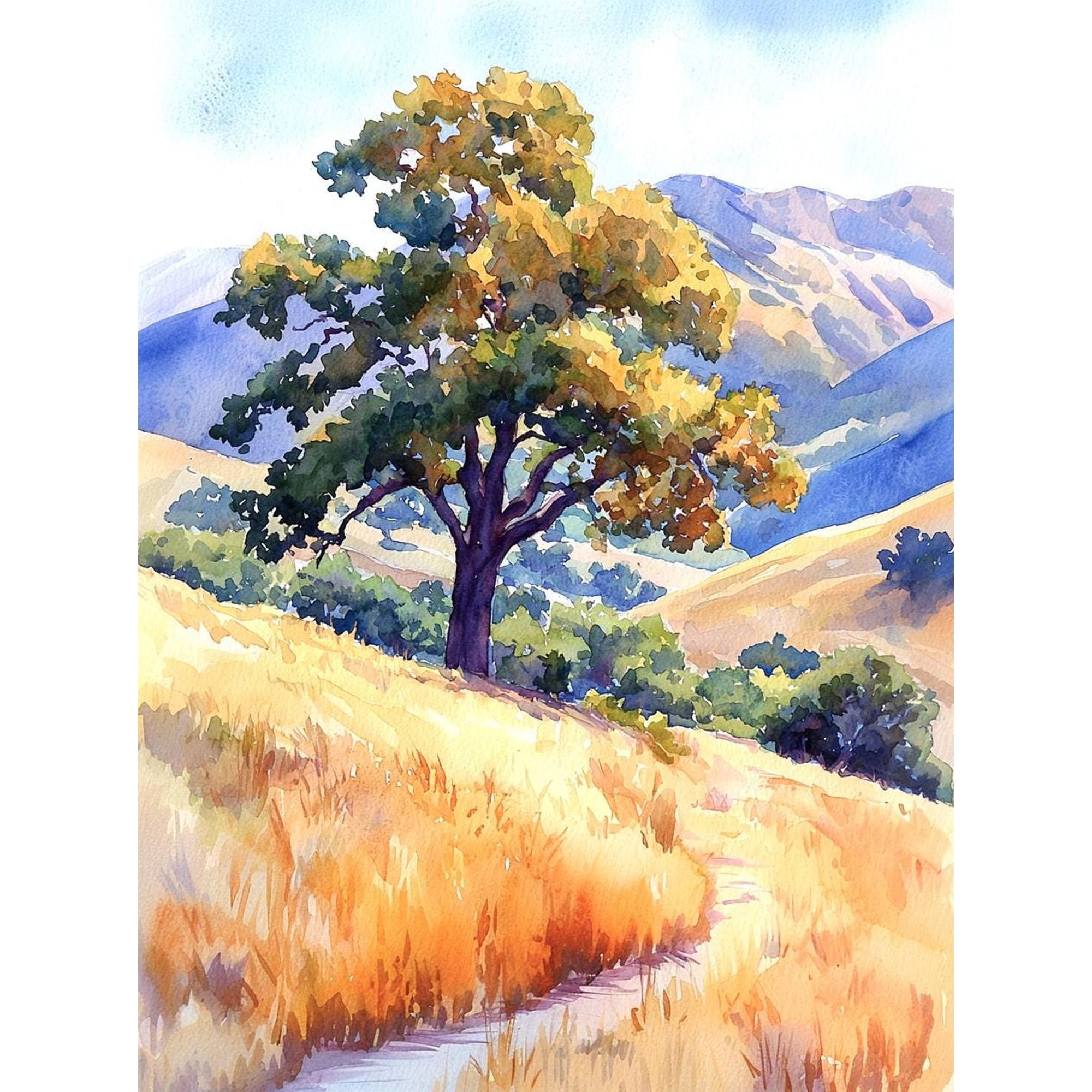 California Hills Art Oak Tree Wall Art San Luis Obispo Art California Landscape Style Mountain Valley Wall Art, Unframed Paper Print