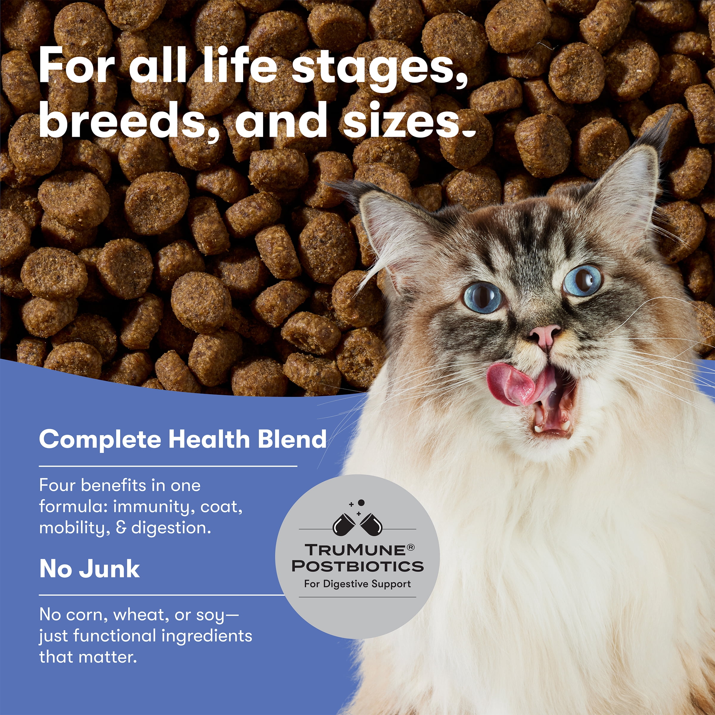 Jinx Atlantic Salmon, Ocean Fish, & Pollock Dry Cat Food, 3 lb